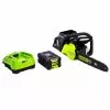 GreenWorks CS80L211 80-Volt 16-Inch 2.0Ah Cordless Chainsaw Kit - 2004502