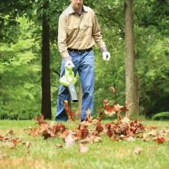 Lawn & Outdoor Power GreenWorks 24322VT 40V 185-Mph Cordless Blower/Vacuum Kit