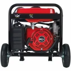 Dual Fuel Generators DuroStar DS5500EH 5500-Watt Electric Start Dual Fuel Portable Generator