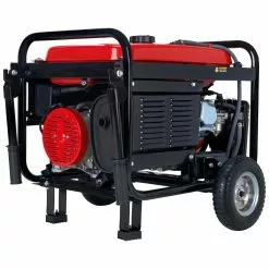 Dual Fuel Generators DuroStar DS5500EH 5500-Watt Electric Start Dual Fuel Portable Generator