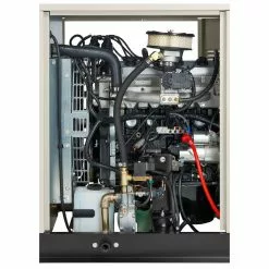 Dual Fuel Generators Generac RG04524ANAX 45000-Watt Aluminum Natural Gas/LP Standby Generator