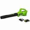 Lawn & Outdoor Power GreenWorks Commercial 24B315 24V 315 CFM Cordless Brushless Leaf Blower Kit