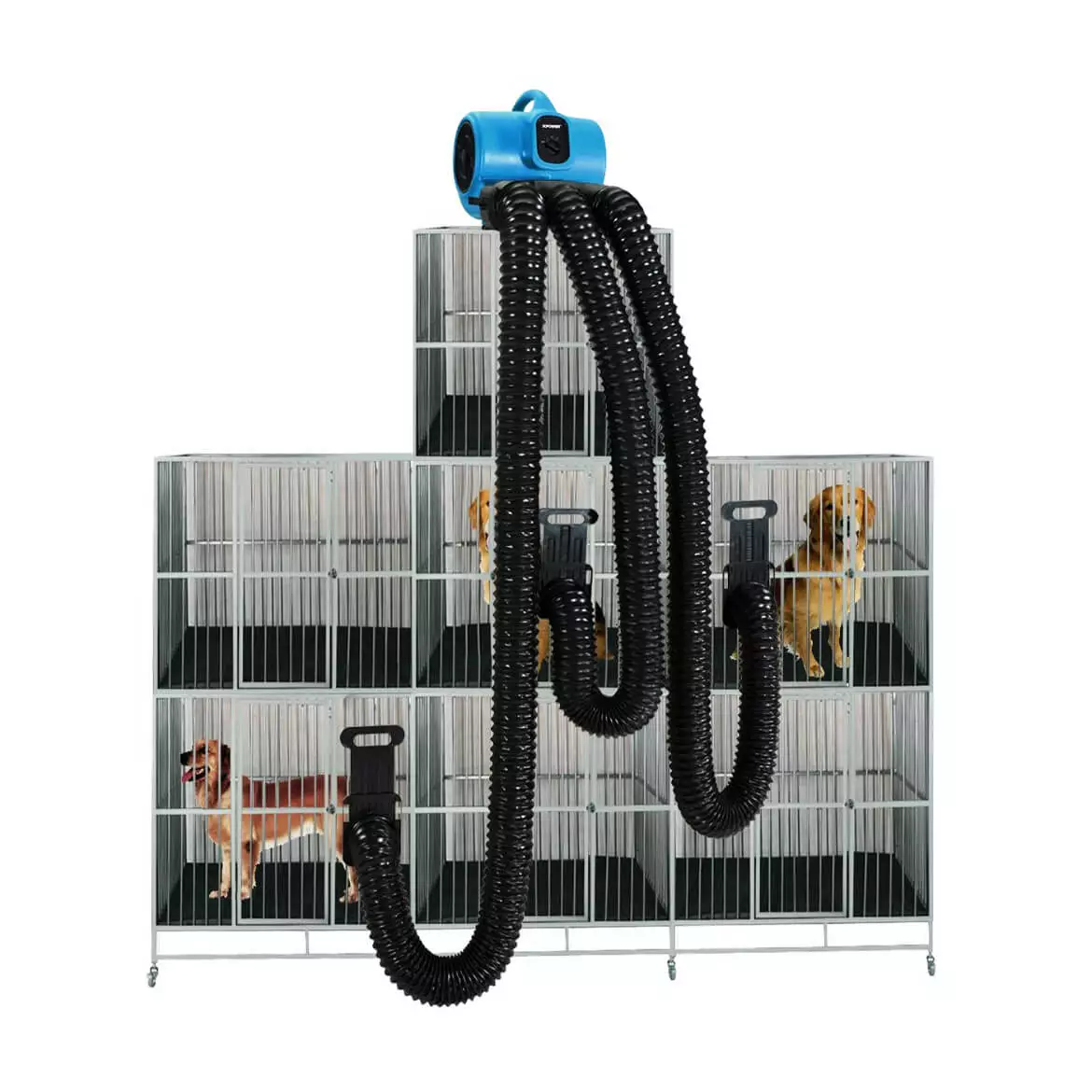 XPOWER X-430TF-MDK 1/3HP 2000CFM 3.8A 3 Speed Mutli-Cage Dryer W/ Drying Kit 7 XPOWER X-430TF-MDK 1/3HP 2000CFM 3.8A 3 Speed Mutli-Cage Dryer W/ Drying Kit