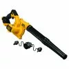 Lawn & Outdoor Power DeWALT DCE100B 20V 100-Cfm Cordless Compact Jobsite Blower - Bare-Tool